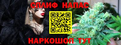 скорость Заводоуковск